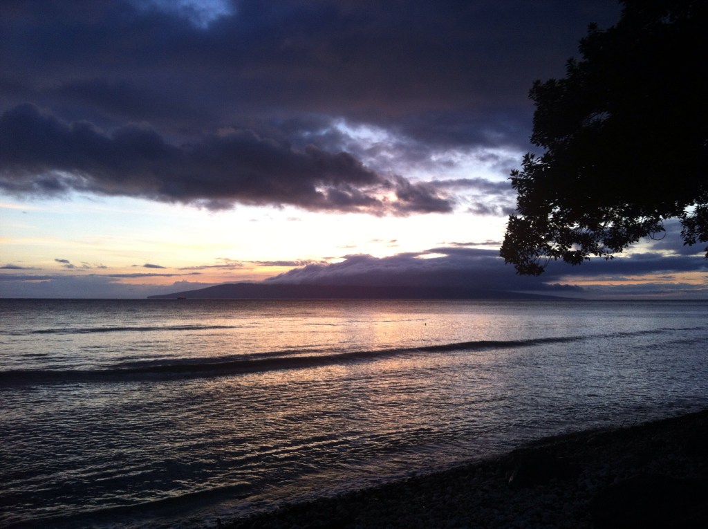 2870F0C9-0AE8-4F17-980F-2882E4C6954E