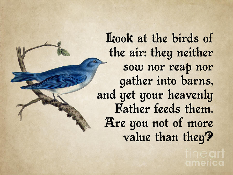 look-at-the-birds-of-the-air-god-and-country-prints