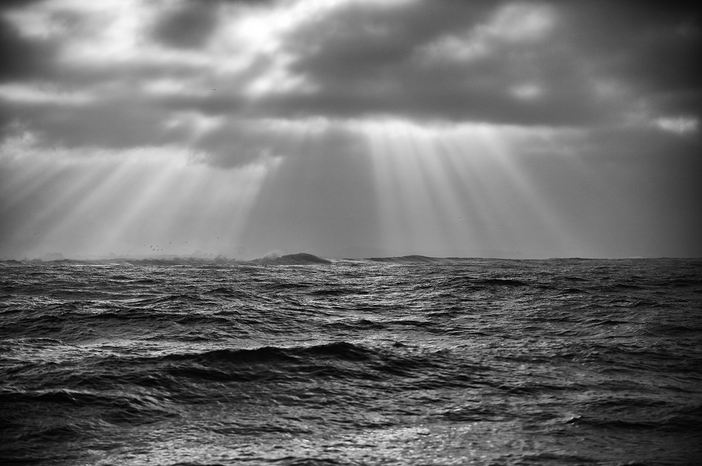 ocean_thepacific2_site