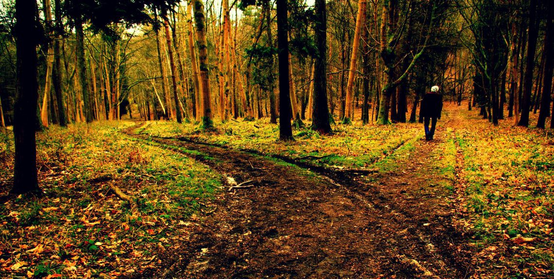 1_9973eXI_e8CBgZS_mW550Q